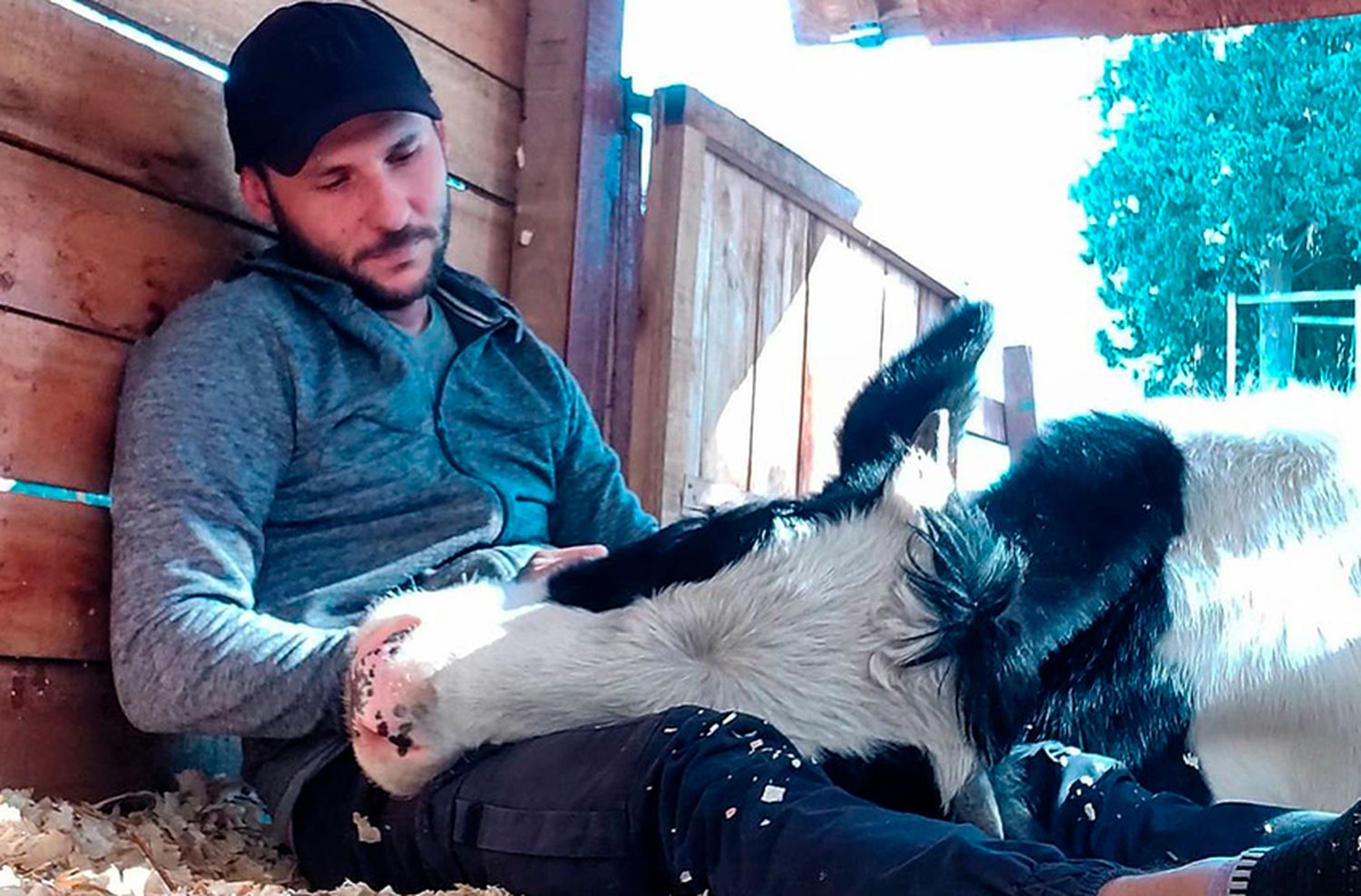 Otro influencer juntó $10 millones y viajó a rescatar animales de los incendios en Corrientes