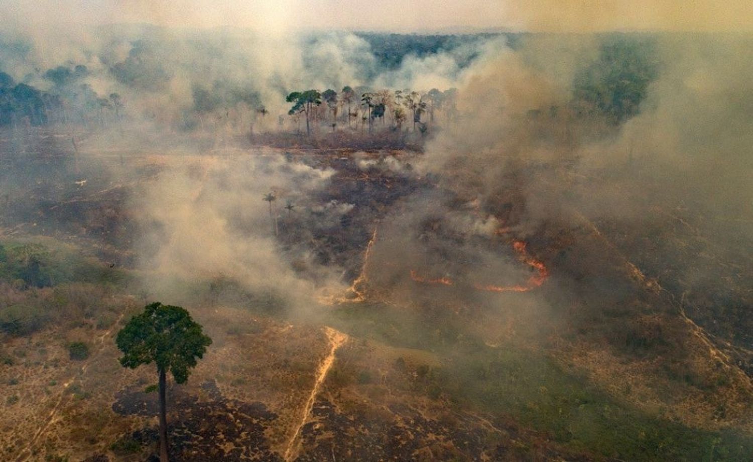 Brasil: el humo de los incendios ya afecta a cinco países vecinos