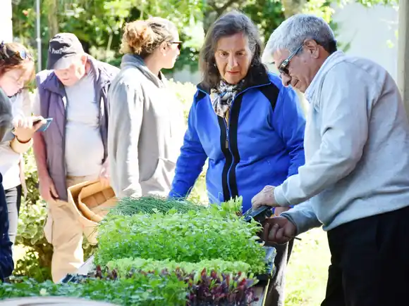 El Programa de Huertas Agroecológicas tiene como objetivo cerrar el año beneficiando a más de 2000 familias