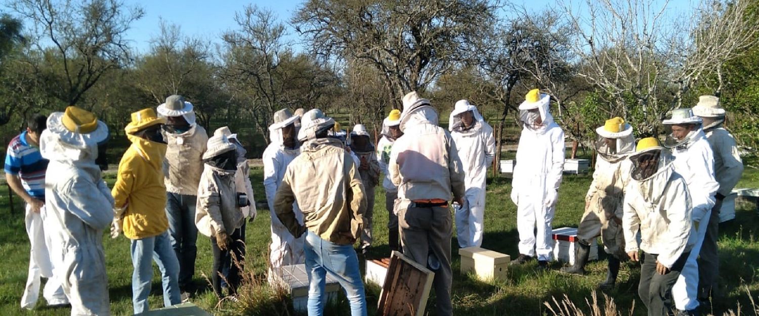 Entre Ríos adhirió al programa nacional de Fortalecimiento Productivo para la Cadena Apícola