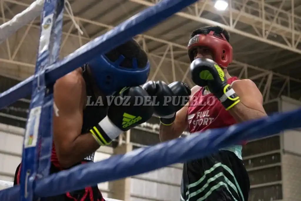 boxeo polideportivo - 10