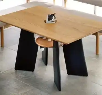 Gato mesa