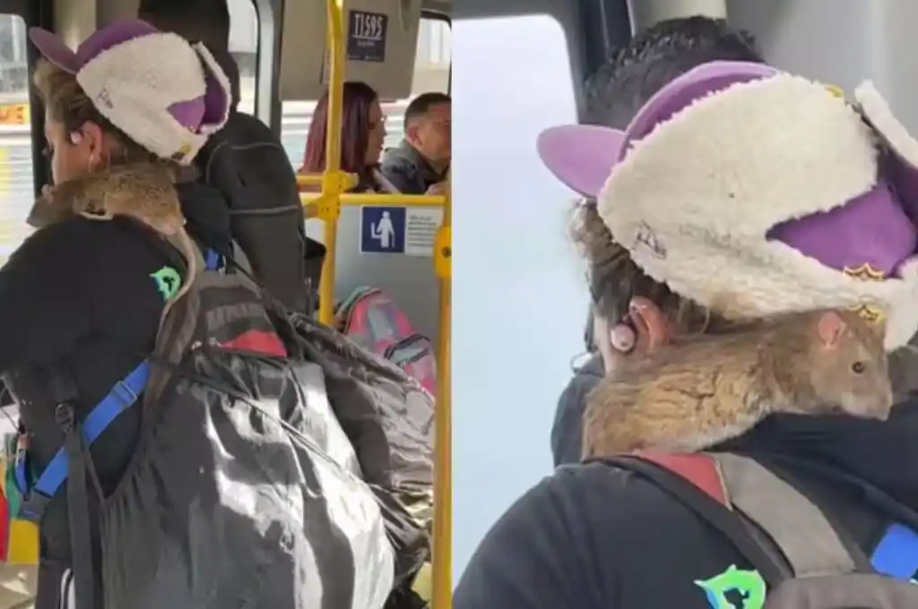 La mujer tiene como mascota una rata