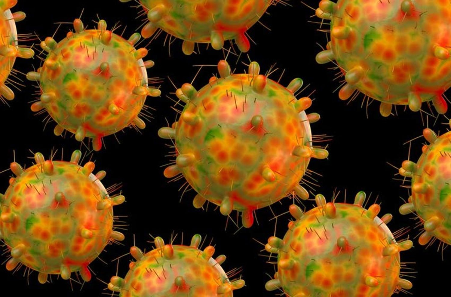 Coronavirus: la OMS clasifica como «preocupante» la variante detectada en Sudáfrica y la denomina Ómicron