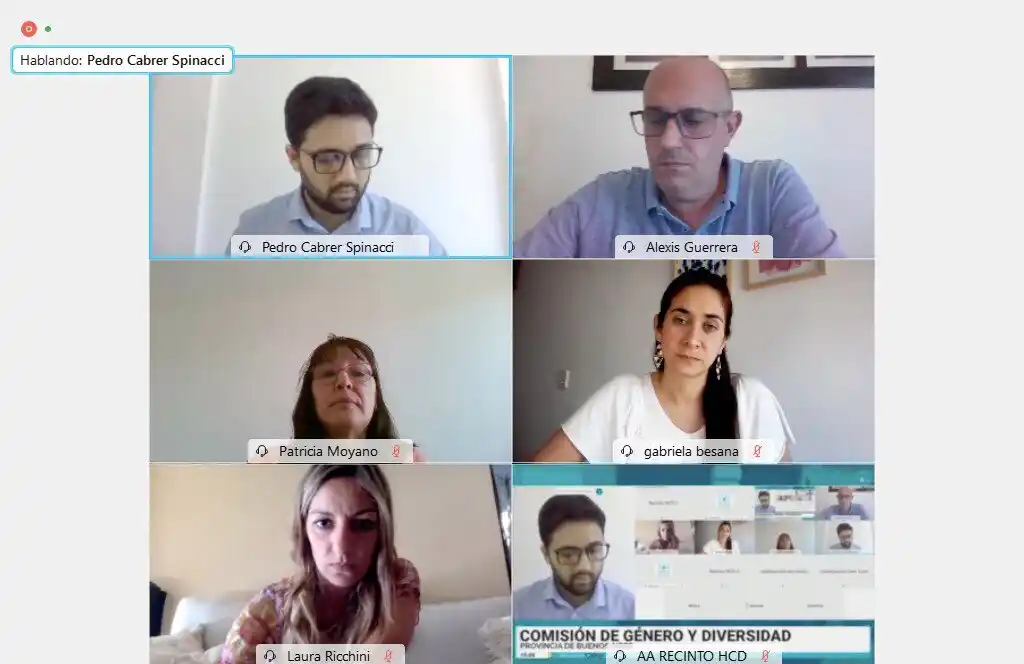 En la Legislatura aprobaron incorporación de la perspectiva de género en el sistema estadístico de la Provincia