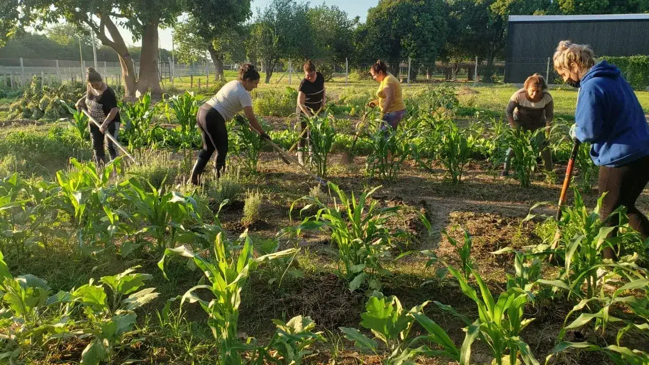 La Escuela Municipal de Jardinería y Agroecología abre nuevas capacitaciones gratuitas - 2