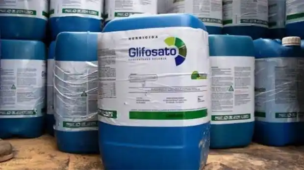 Médico advierte que siguen apareciendo enfermedades ligadas con agrotóxicos