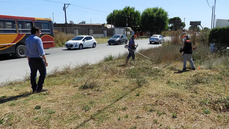 Limpian terrenos baldíos sobre la avenida 91