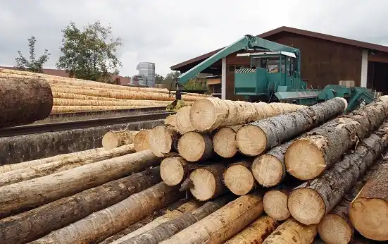 Concejales piden a Bordet que revea la modificación de la Ley de la Madera