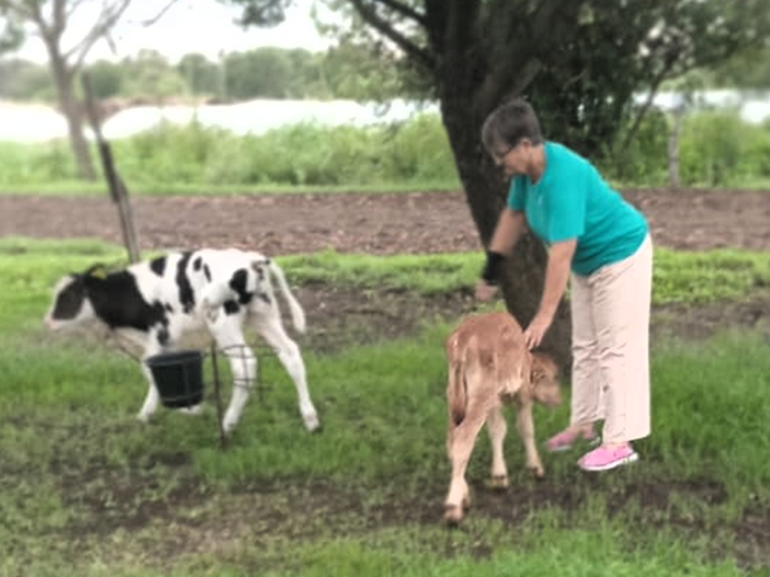 En conmemoración por el 8M, Federación Agraria Entre Ríos destacó el rol de la mujer en el campo