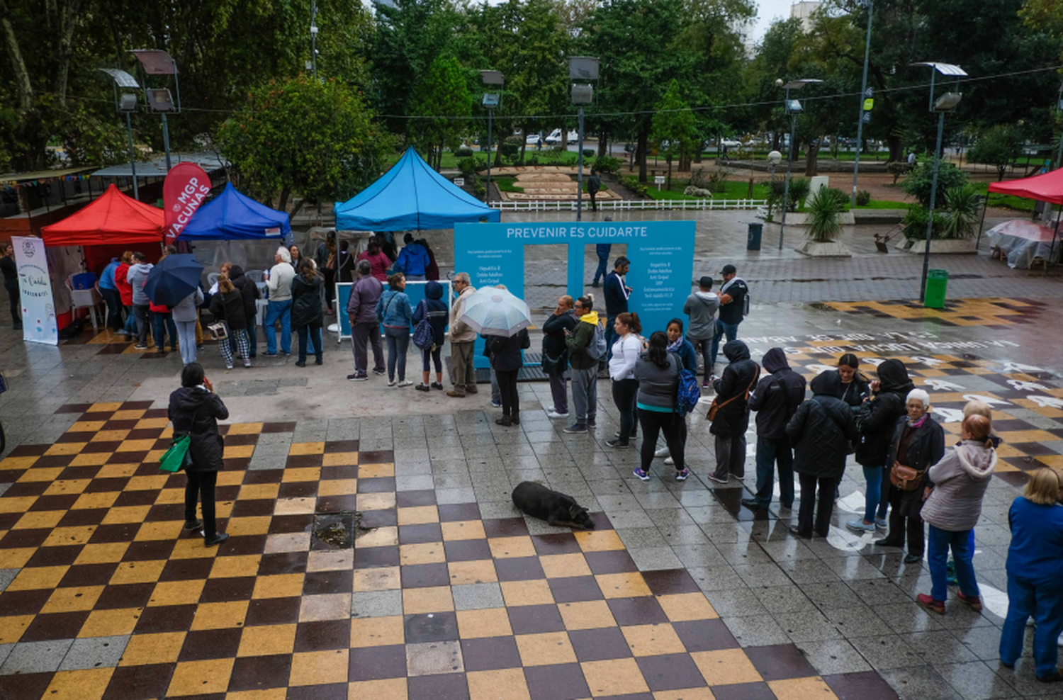 Realizarán una jornada de vacunación y control bucal para adultos frente a la Catedral