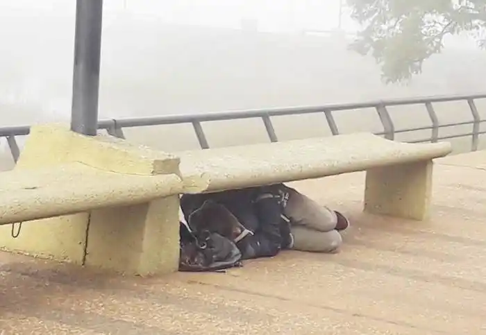 LO QUE SE VE EN LA CIUDAD