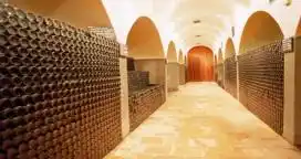 Bolivia cerró importación de uva y vinos por tres meses