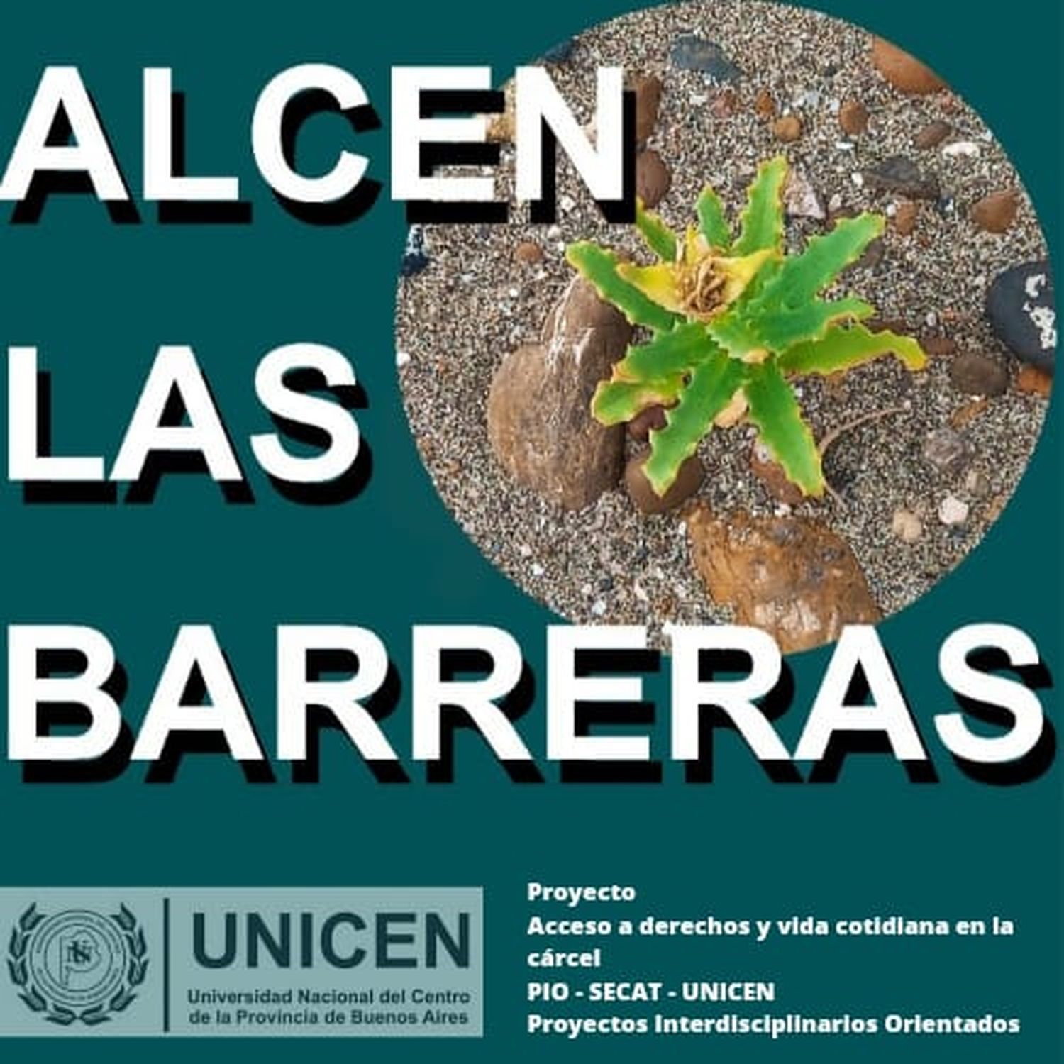 Alcen las barreras, una serie de podcast para hablar de acceso a derechos y vida cotidiana en la cárcel