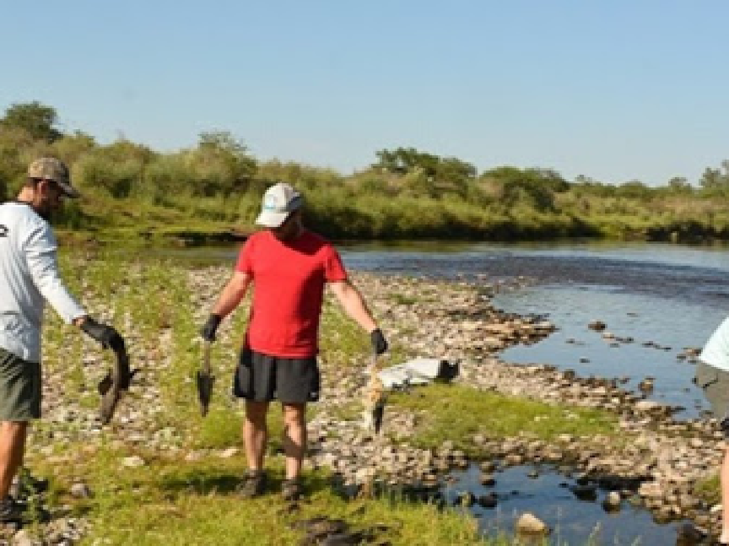 Sancionarán a una petroquímica tras la muerte masiva de peces en Río Tercero