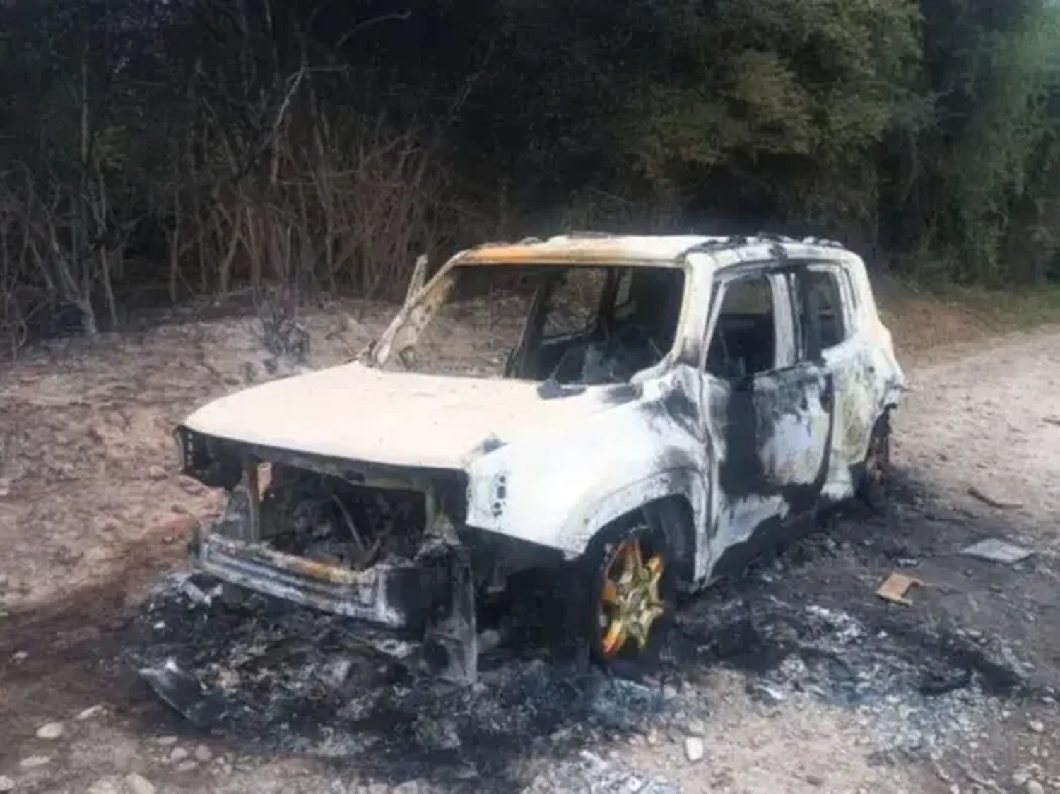 Conmoción por el hallazgo de dos cuerpos calcinados en un auto