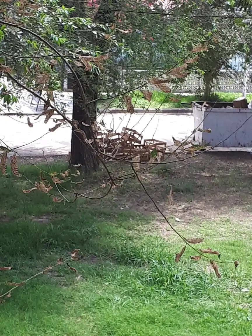 Reclamo desde el FONAVI I: “Vienen a tirar basura a los containers”