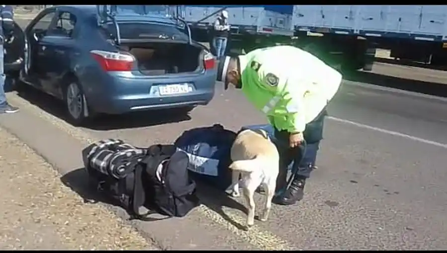 Exitoso procedimiento por narcomenudeo: cuatro personas detenidas