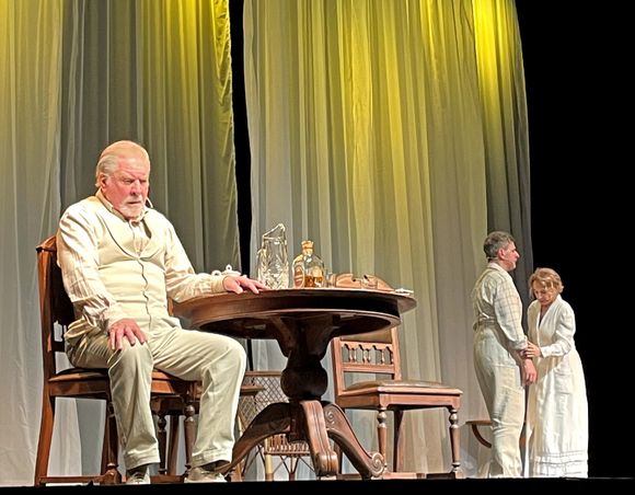 "Largo viaje de un día hacia la noche" completó tres noches a sala llena en el Teatro Tronador