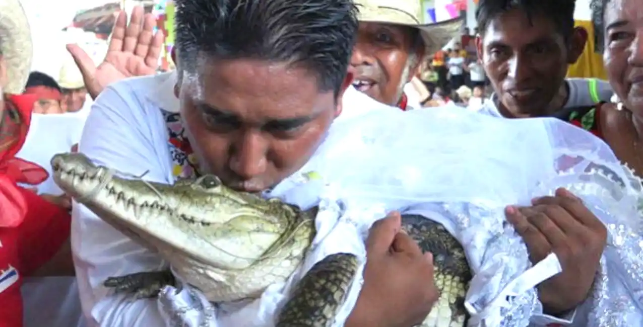 Las imágenes de la boda