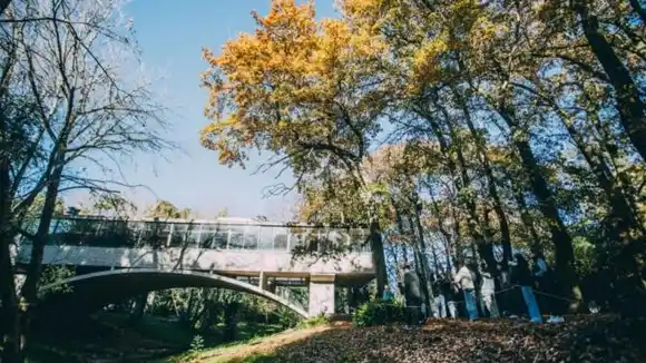 En junio habrá visitas guiadas, jornadas especiales y recorridos educativos a la Casa sobre el Arroyo