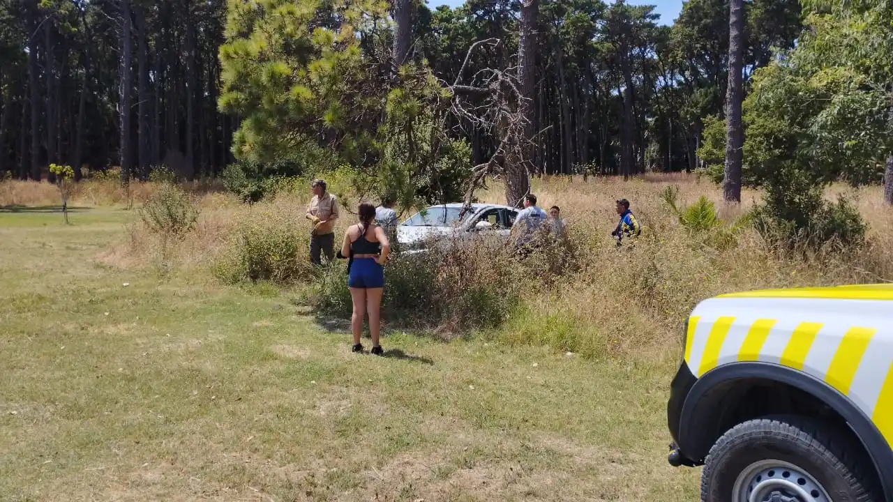 Perdió el control en la avenida 10 y terminó metida en el Parque