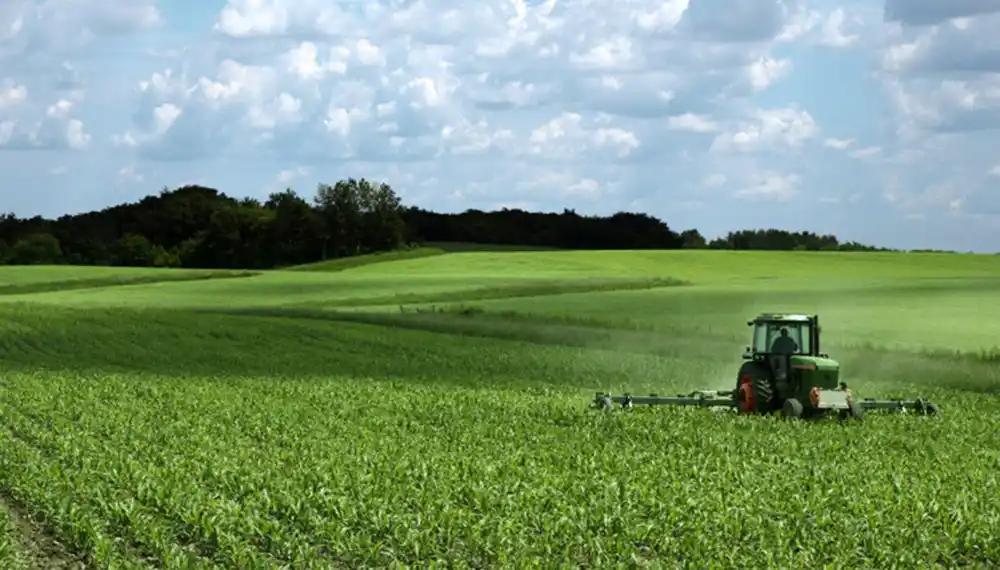 Desde hoy, los fitosanitarios extranjeros tienen un límite de cambios de titularidad