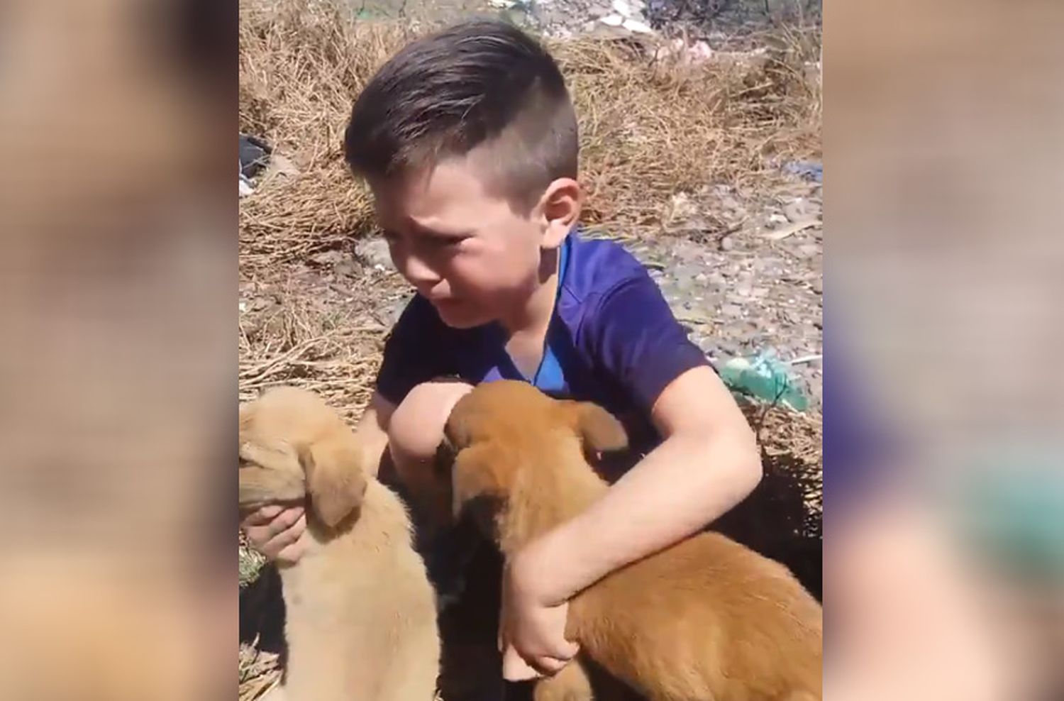 Video viral: el niño que llora al encontrarse con cachorros abandonados en un basural