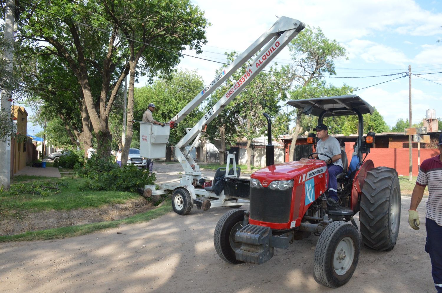 El gobierno municipal refuerza los trabajos de poda