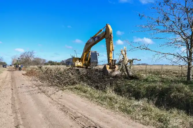 La Municipalidad trabajará en el control de especies arbóreas que afectan los caminos rurales