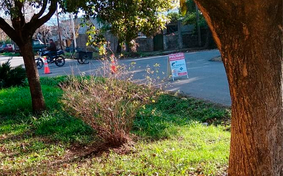 Litoral Gas trabaja en Molina y Gardel