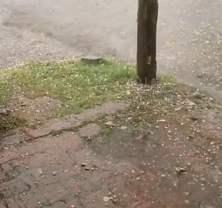 Fuerte tormenta en la Provincia: Los videos del intenso granizo en los municipios bonaerenses