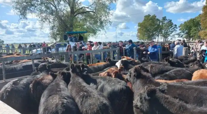 Explotó la feria en Coronel Dorrego