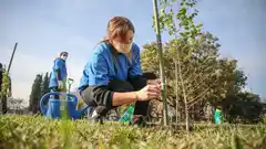 El país perdió el 70 por ciento de sus bosques nativos y la reforestación se torna un ejercicio esencial