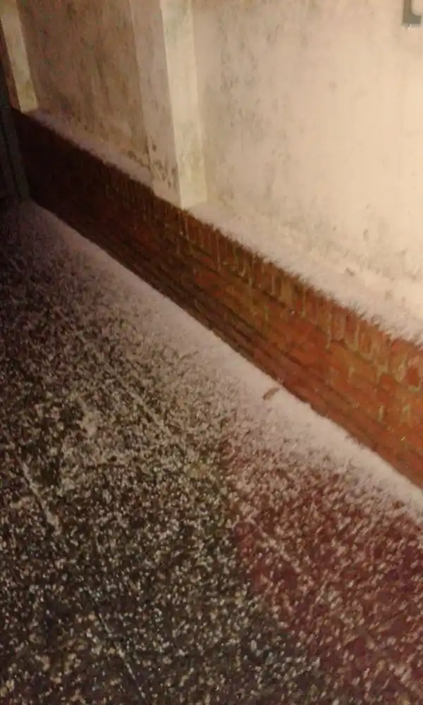 Nevó en Mar del Plata y otras regiones de la costa bonaerense