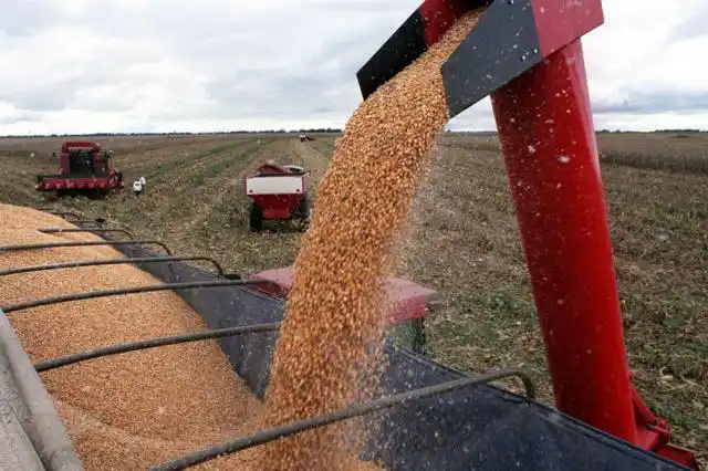 Por el fuerte impacto de la sequía, la economía mostró sus primeros datos negativos en más de un año