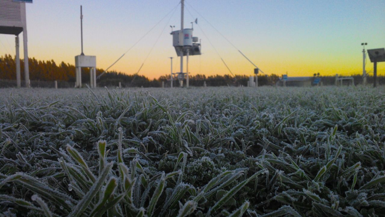 Continúa el riesgo de heladas en el oeste y el sur del área agrícola