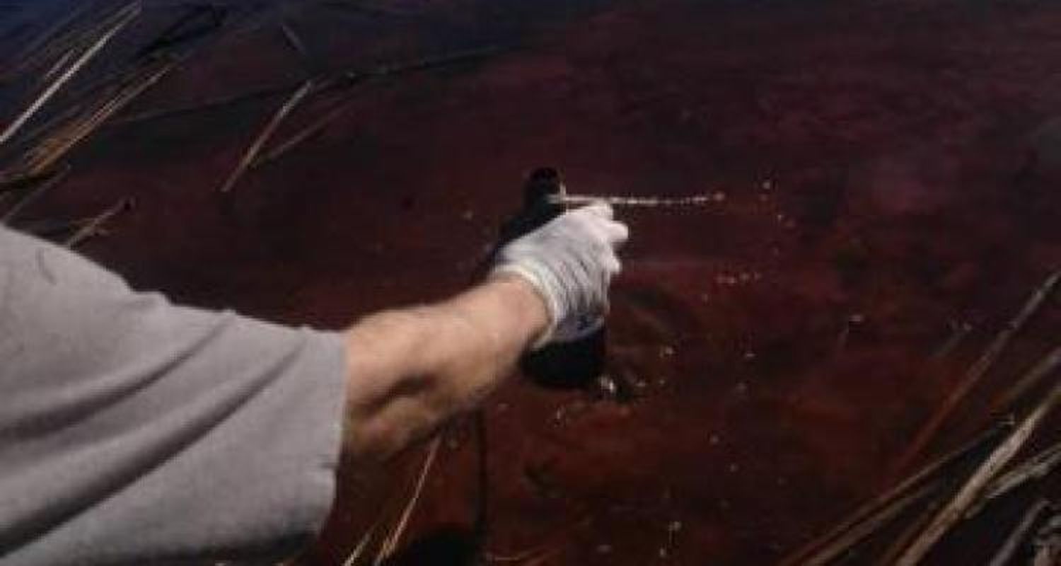 Sin Alberto Papel Prensa deja de contaminar