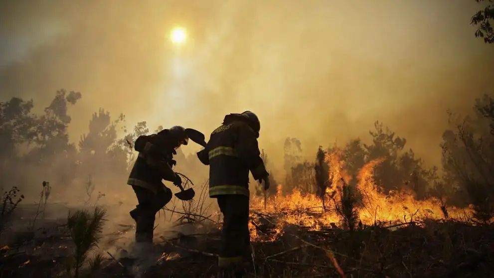 Oleada de incendios en Chile deja muertos y pueblos arrasados
