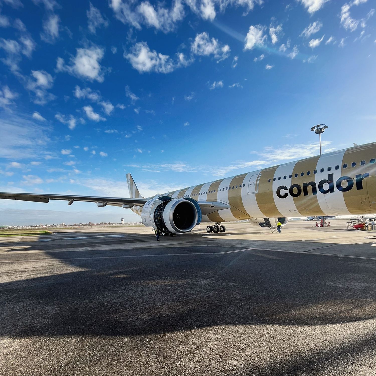 Debutó el segundo Airbus A330neo «rayado» de Condor