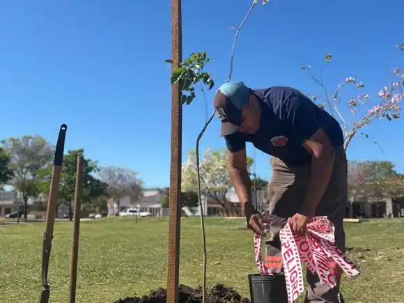 Finalizó el Plan de Forestación 2025: Rafaela sumó 1625 nuevos árboles