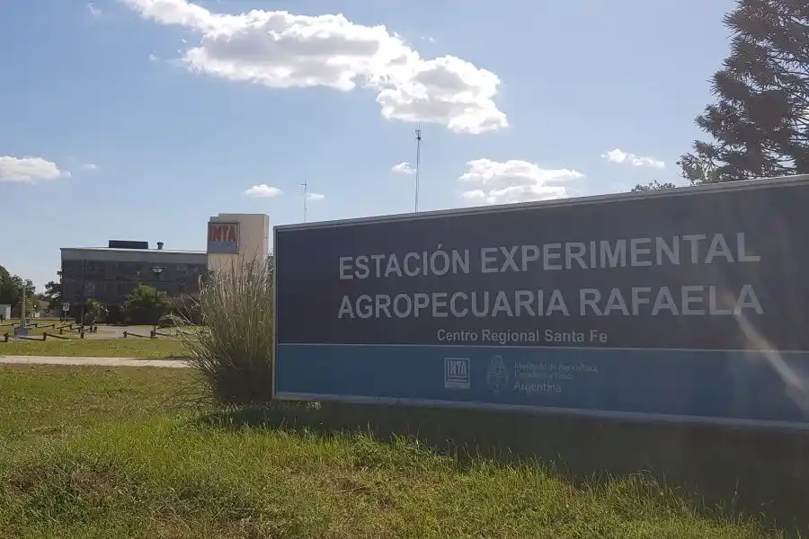 Los terrenos del INTA en Rafaela, bajo amenaza por la “motosierra” del gobierno nacional