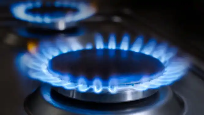 Confirman que se posterga hasta enero el próximo aumento en la tarifa de gas