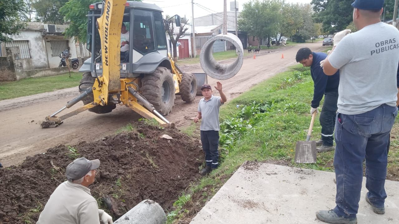 obras venado - 1