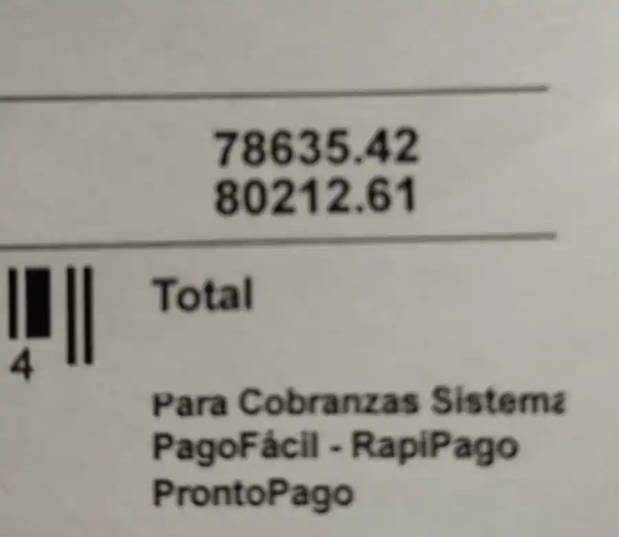 Luz: no vamos a poder comer si pagamos eso