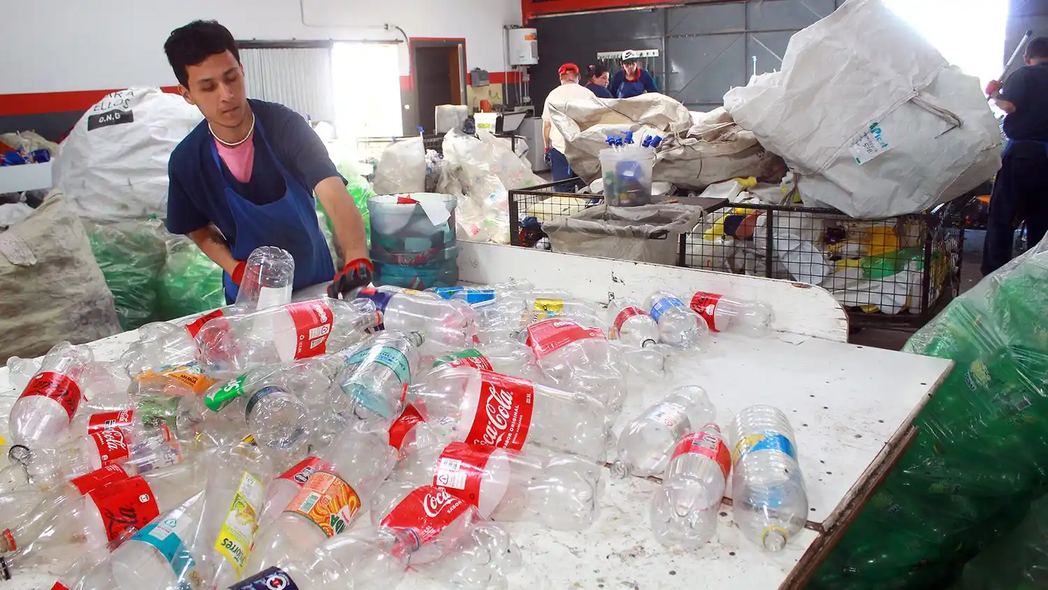 Botellas plásticas. Realizan un trabajo de reciclado en la planta del taller protegido