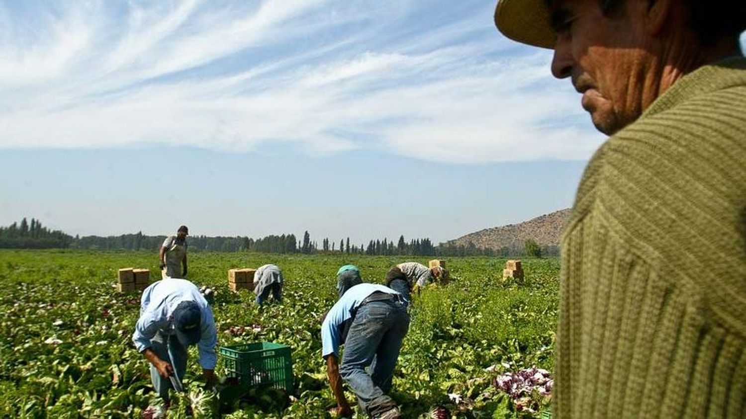 Procesaron a empresarios del arándano por trata de personas