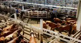 La SRA pidió acompañar el proceso de crecimiento del campo, y cuidar el empleo