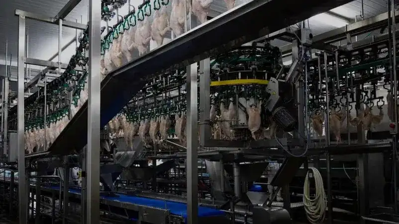 La empresa suspendió las operaciones "hasta nuevo aviso" e instruyó al personal a no concurrir