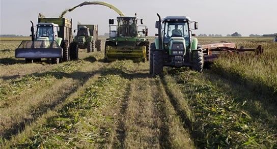 “El sector triguero atraviesa la peor crisis económica de la última década”